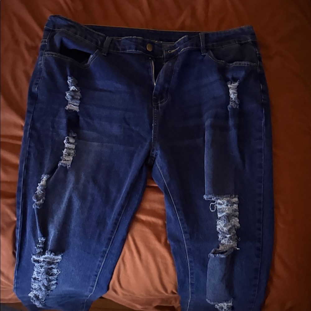 Stylish Blue Distressed Women Jeans